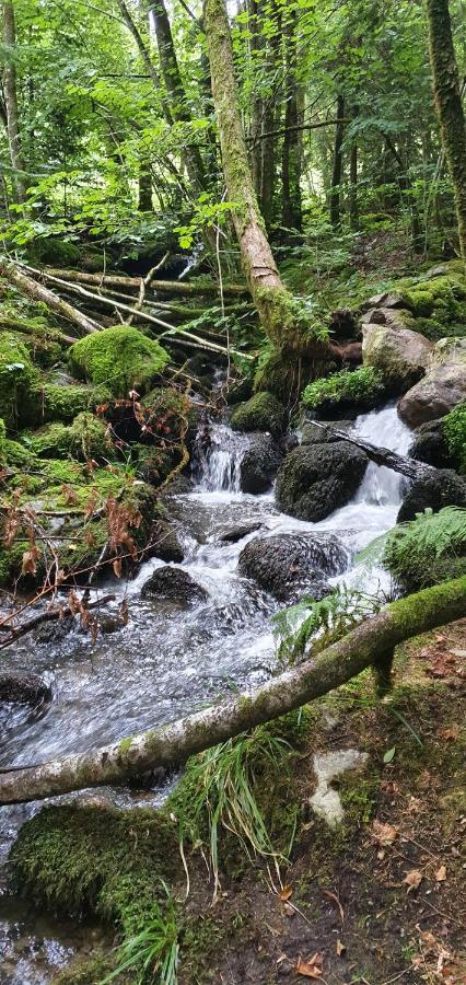 Black Forest Kuckucksnest โชนวัลด์ ภายนอก รูปภาพ
