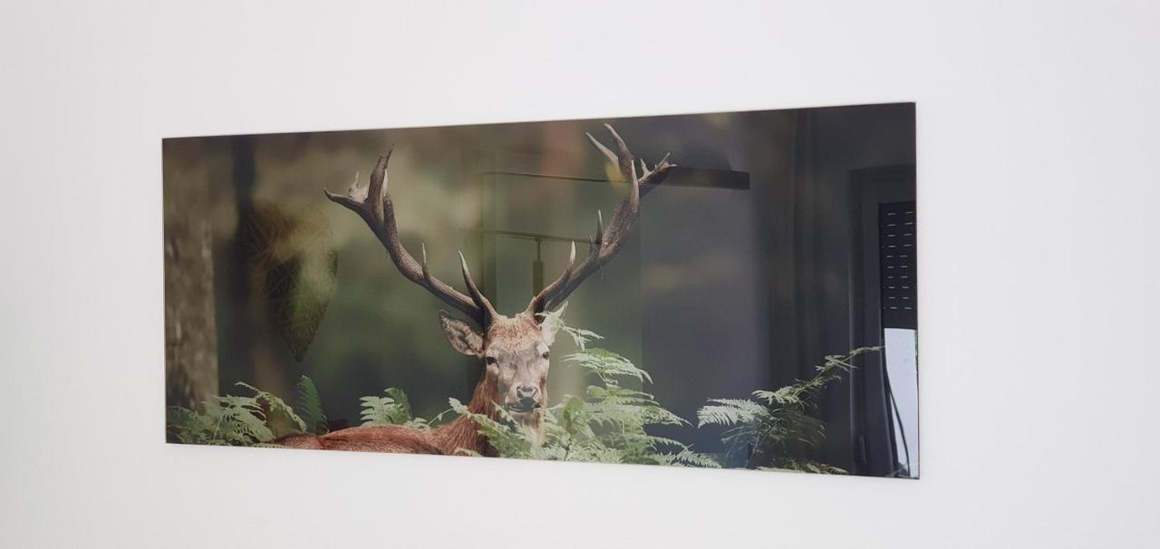Black Forest Kuckucksnest โชนวัลด์ ภายนอก รูปภาพ