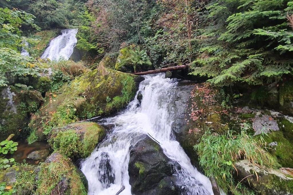 Black Forest Kuckucksnest โชนวัลด์ ภายนอก รูปภาพ