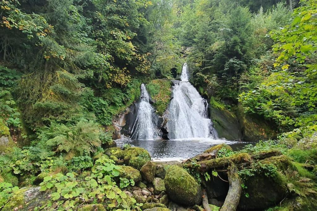 Black Forest Kuckucksnest โชนวัลด์ ภายนอก รูปภาพ