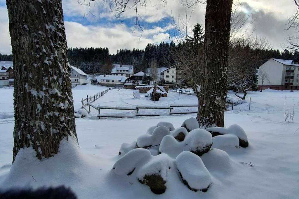 Black Forest Kuckucksnest โชนวัลด์ ภายนอก รูปภาพ
